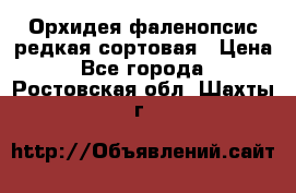 Орхидея фаленопсис редкая сортовая › Цена ­ 800 - Все города  »    . Ростовская обл.,Шахты г.